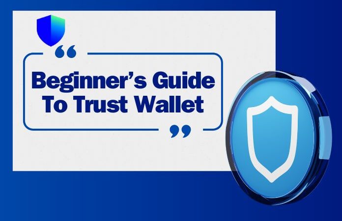 How To Enable And Withdraw Money From A Trust Wallet?