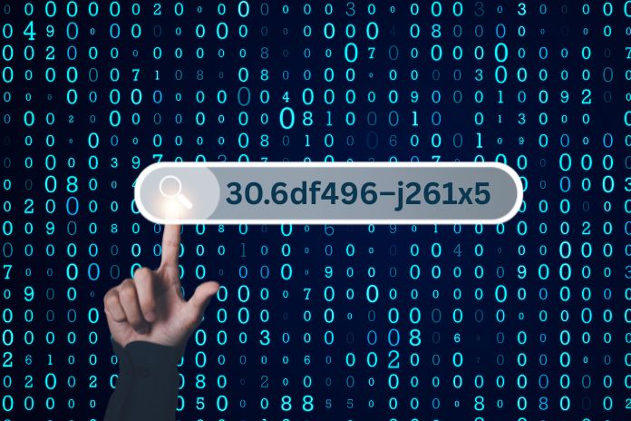 What Is 30.6df496–j261x5? [Complete Guide]