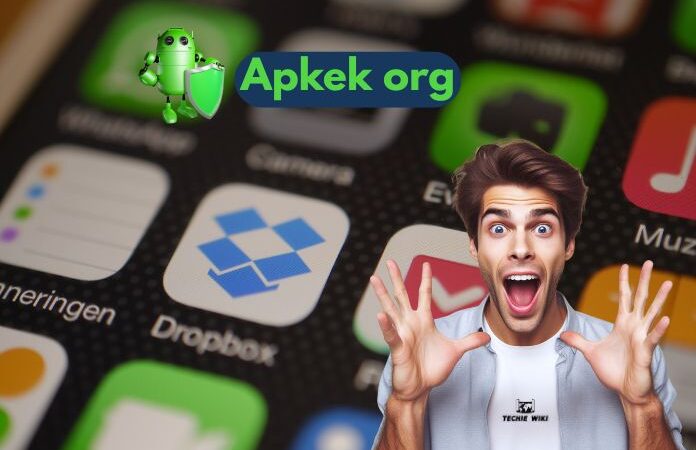 Apkek org: Unlock Free Ways To Earn Money [Complete Review]