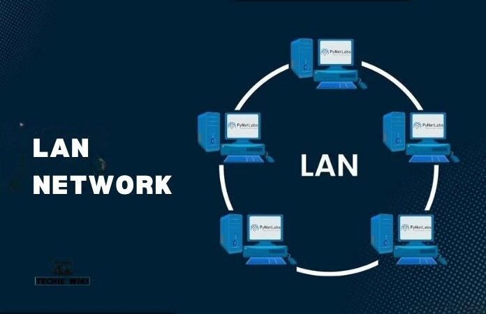 LAN Network: Definition, Types, Comparison, Router and Internet Explained