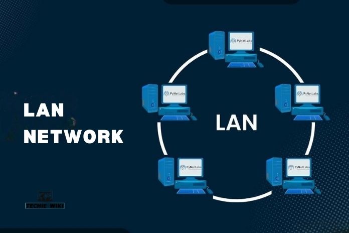LAN Network: Definition, Types, Comparison, Router and Internet Explained
